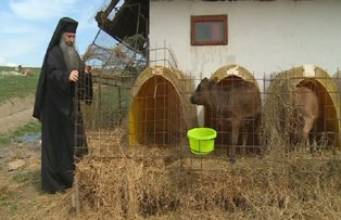 Minunile parintelui Paisie de la Barnova