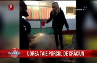 Udrea taie porcul de Craciun