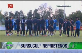 "Bursucul" neprietenos