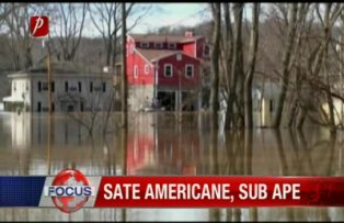 Sate Americane sub ape