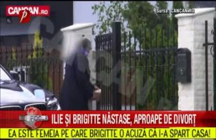 Ilie si Brigitte Nastase, aproape de divort