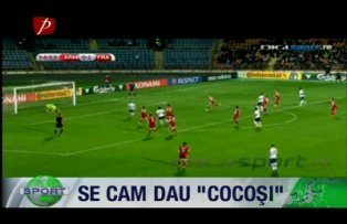 Se cam dau "cocoşi"