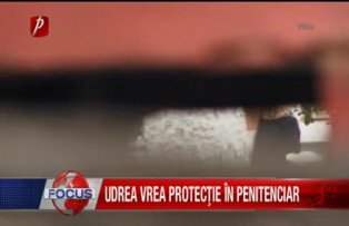 Udrea vrea protectie in penitenciar