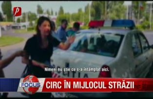 Circ in mijlocul strazii