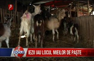 Iezii iau locul mieilor de paste