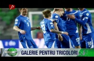 Galerie pentru tricolori