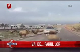 Vai de.. farul lor