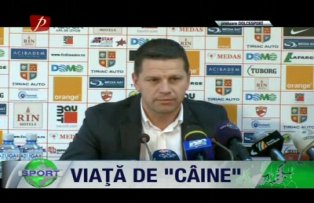 Viaţă de "câine"