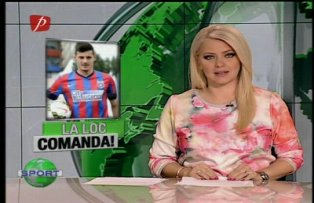 Au bătut în Lemn(aru)