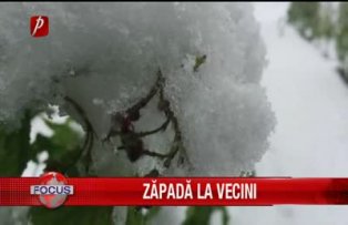 Zăpadă la vecini