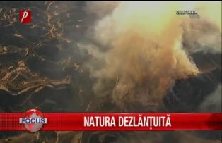 Natura dezlantuita
