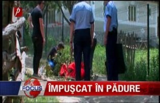 Impuscat in padure