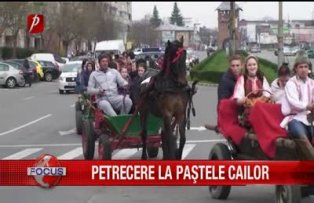 Petrecere la paştele cailor