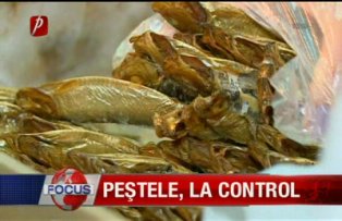 Pestele la control