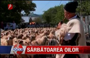 Sarbatoarea oilor