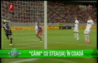 "Câini" cu Stea(ua) în coadă