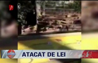Atacat de lei