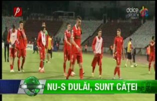 Nu-s dulăi, sunt căţei