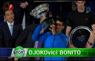 DJOKOvici bonito