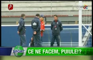 Ce ne facem, Puiule!?