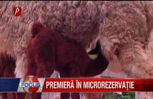 Premiera in microrezervatie
