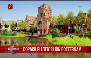 Copacii plutitori din Rotterdam