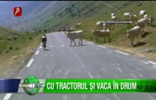Cu tractorul şi vaca în drum