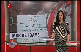 Victime ale războiului