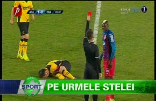 Pe urmele Stelei