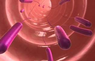 Ce este bacteria E Coli. Toxina care a pus Romania pe jar