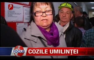Cozile umilintei
