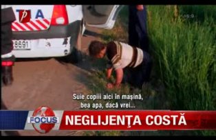 Neglijenta costa
