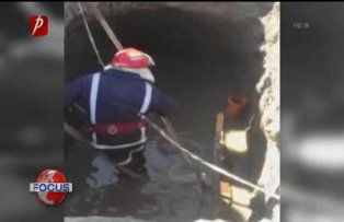 Vidră salvată din canal