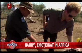 Harry emotionat in Africa