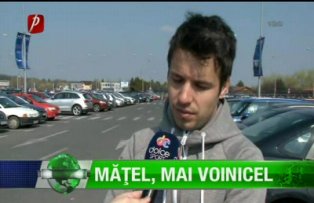 Măţel, mai voinicel