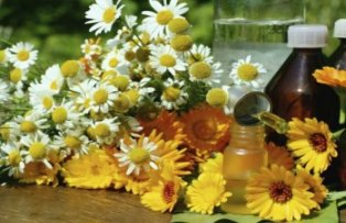 Remedii rapide pentru arsuri. Top 7 leacuri demne de incredere, din natura