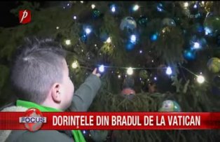 Dorintele din bradul de la Vatican