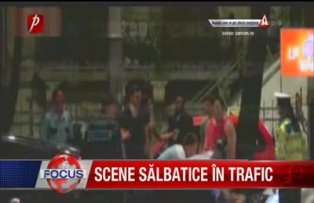 Scene salbatice in trafic