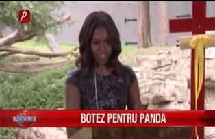 Botez pentru panda