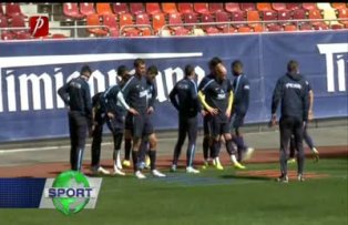 "Câinii" au Steaua lor