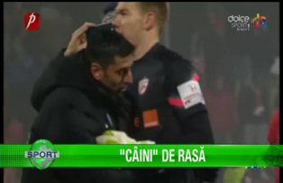 "Câini" de rasă