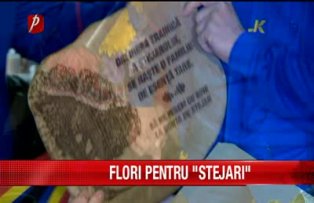 Flori pentru "stejari"