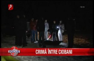 Crima intre ciobani