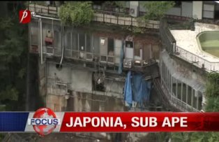 Japonia sub ape