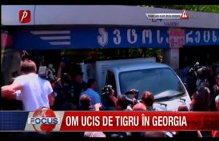 Om ucis de tigru in Georgia