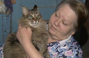 VIDEO / O pisica a salvat de la moarte un bebelus abandonat. Felina a ajuns eroina in Rusia