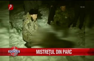 Mistretul din parc