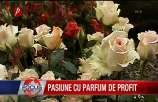 Pasiune cu parfum de profit