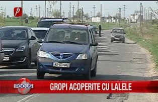 Gropi acoperite cu lalele
