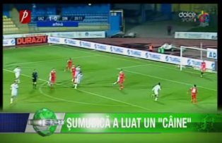 Şumudică a luat un "câine"